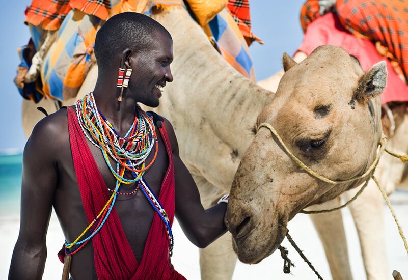 African Safari Excellence